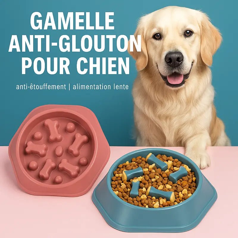 Gamelle anti - glouton pour chien - ManiacPets