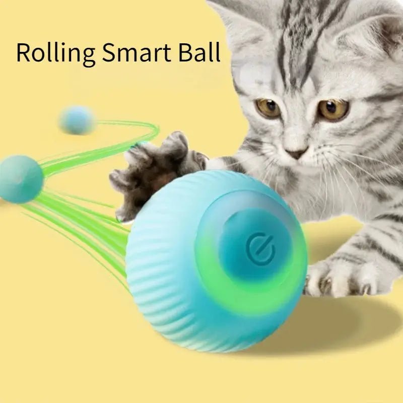 Balle Intelligente Rechargeable pour Chat - ManiacPets