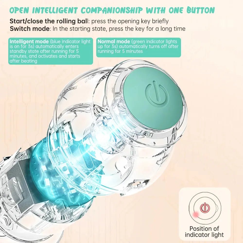 Balle Intelligente Rechargeable pour Chat - ManiacPets