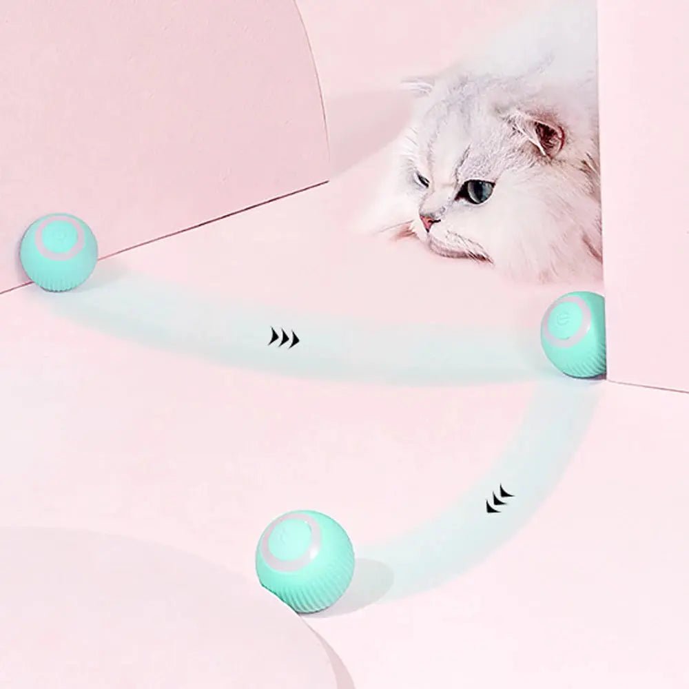 Balle Intelligente Rechargeable pour Chat - ManiacPets