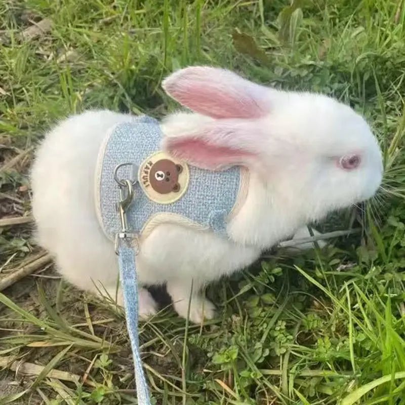 Ensemble harnais et laisse pour lapin - ManiacPets