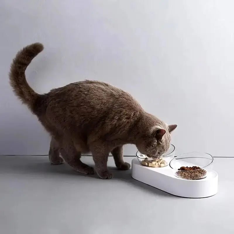 Gamelle Double PETKIT - Réglable en Hauteur - ManiacPets