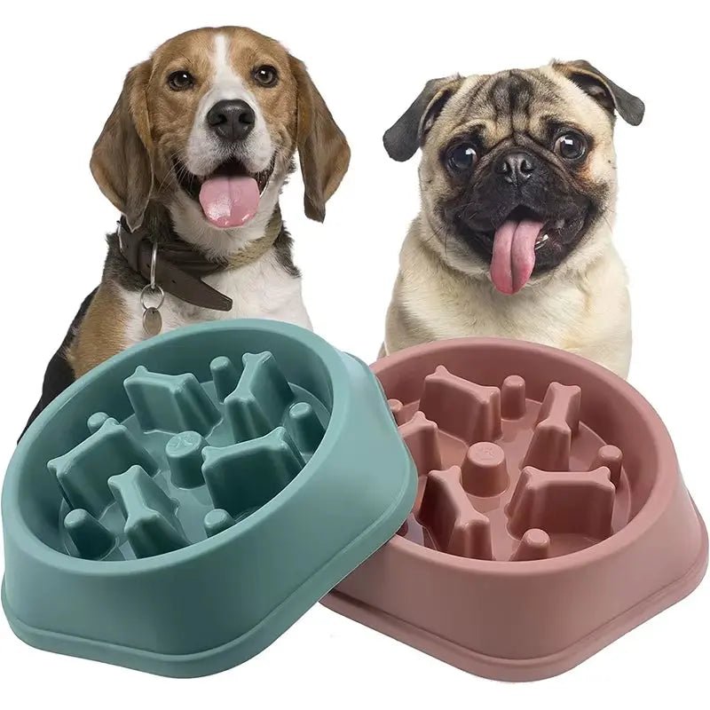 Gamelle anti - glouton pour chien - ManiacPets