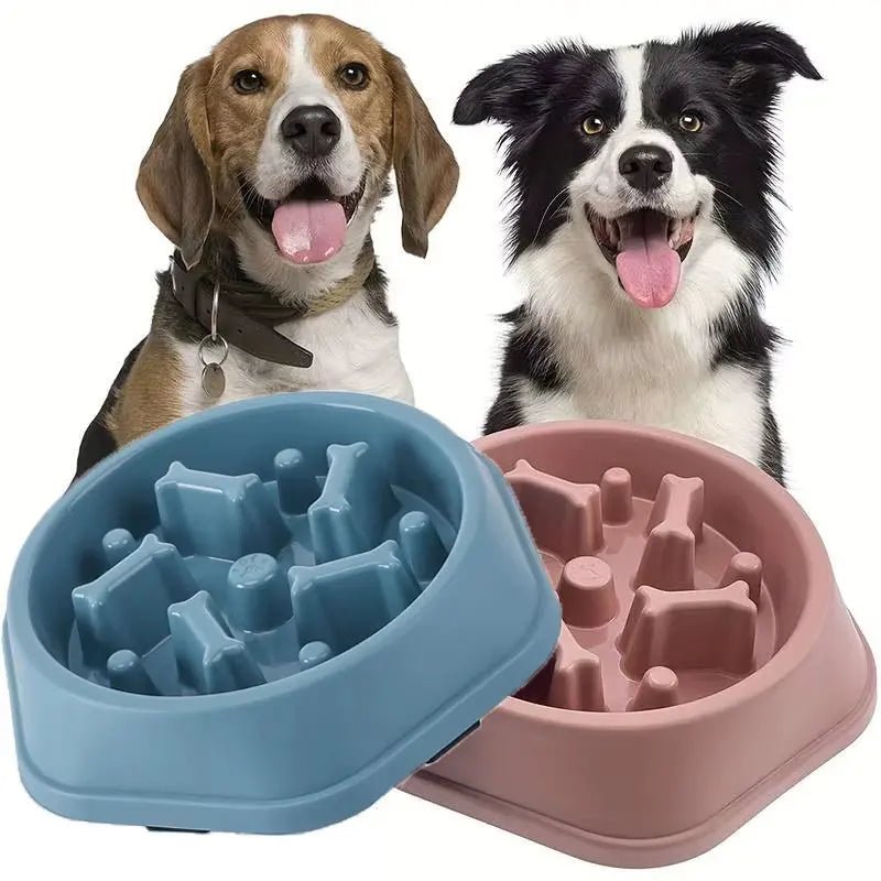 Gamelle anti - glouton pour chien - ManiacPets
