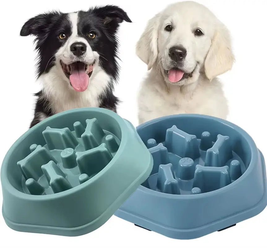Gamelle anti - glouton pour chien - ManiacPets
