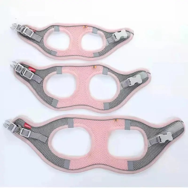 Harnais réfléchissant MADDEN–Ensemble harnais + laisse réglable pour chien ou chat - ManiacPets