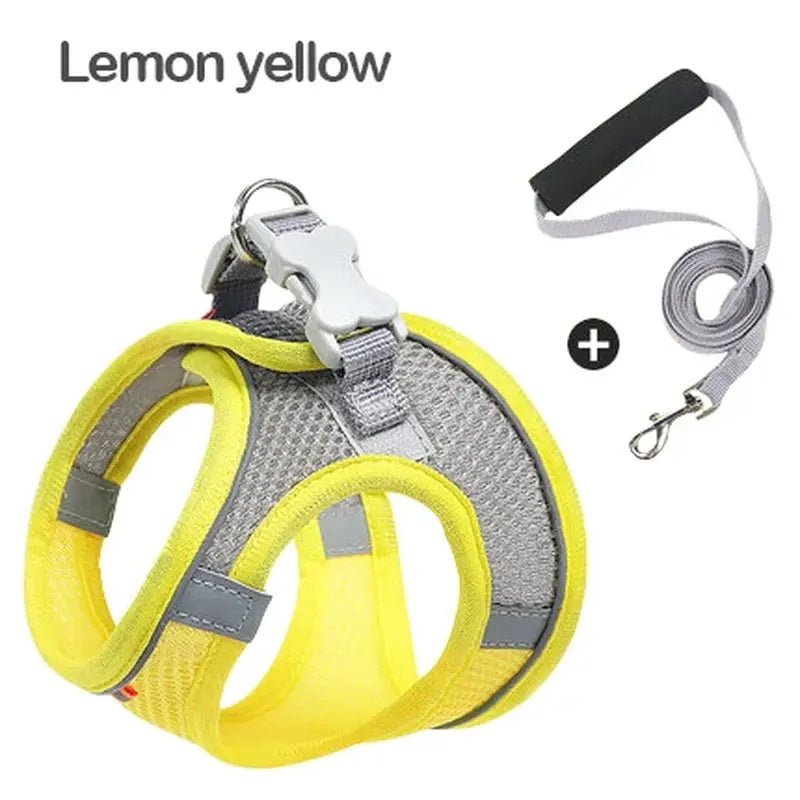 Harnais réfléchissant MADDEN–Ensemble harnais + laisse réglable pour chien ou chat - ManiacPets