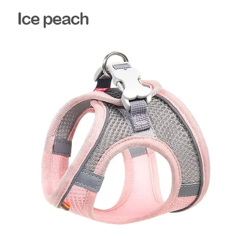 Harnais réfléchissant MADDEN–Ensemble harnais + laisse réglable pour chien ou chat - ManiacPets