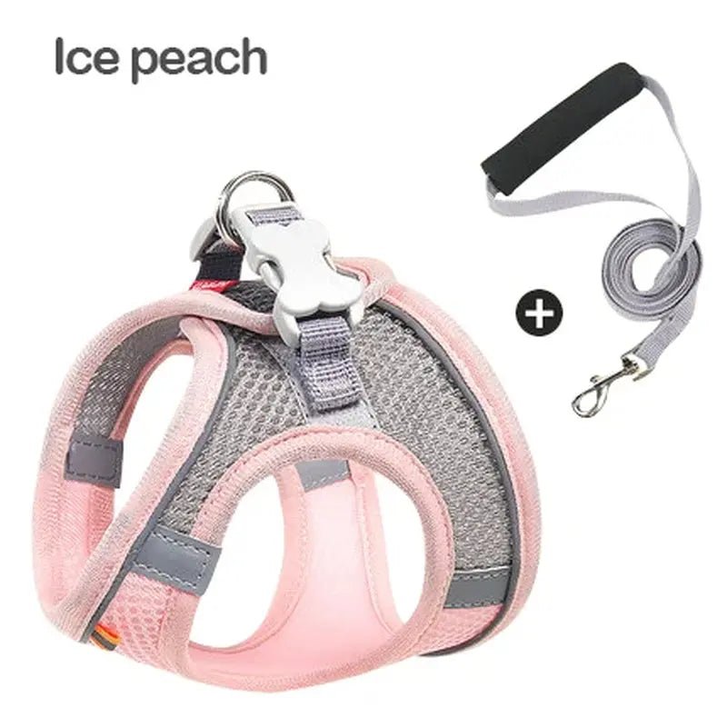 Harnais réfléchissant MADDEN–Ensemble harnais + laisse réglable pour chien ou chat - ManiacPets
