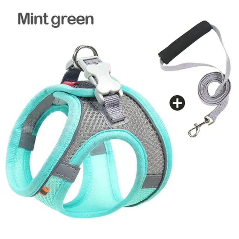 Harnais réfléchissant MADDEN–Ensemble harnais + laisse réglable pour chien ou chat - ManiacPets