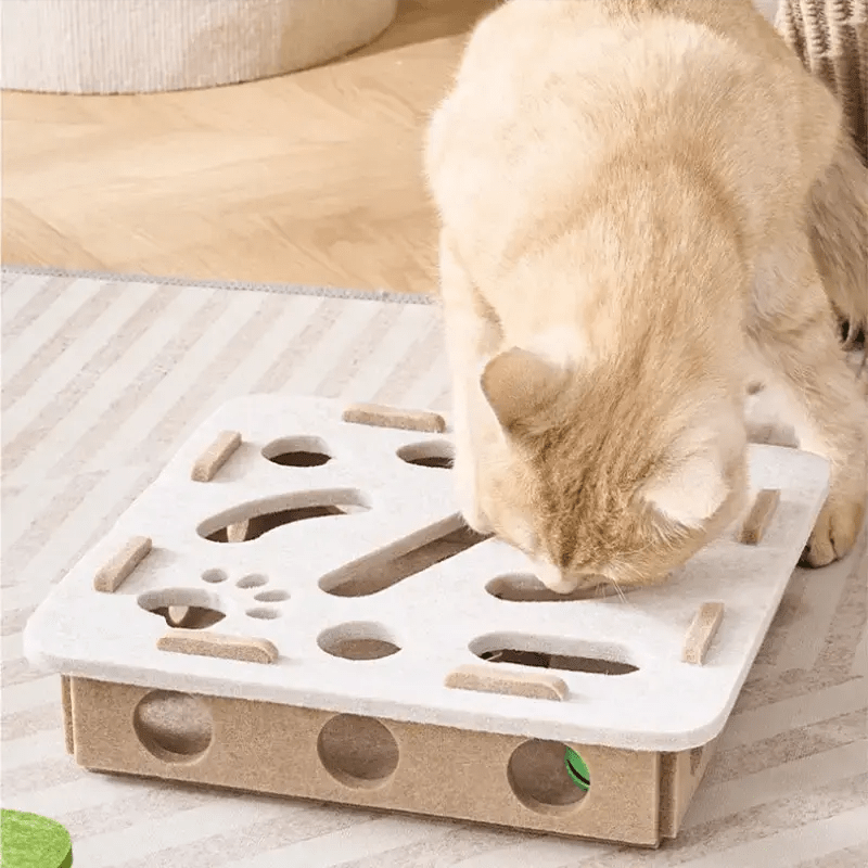 Jeu labyrinthe en feutre pour chat - ManiacPets