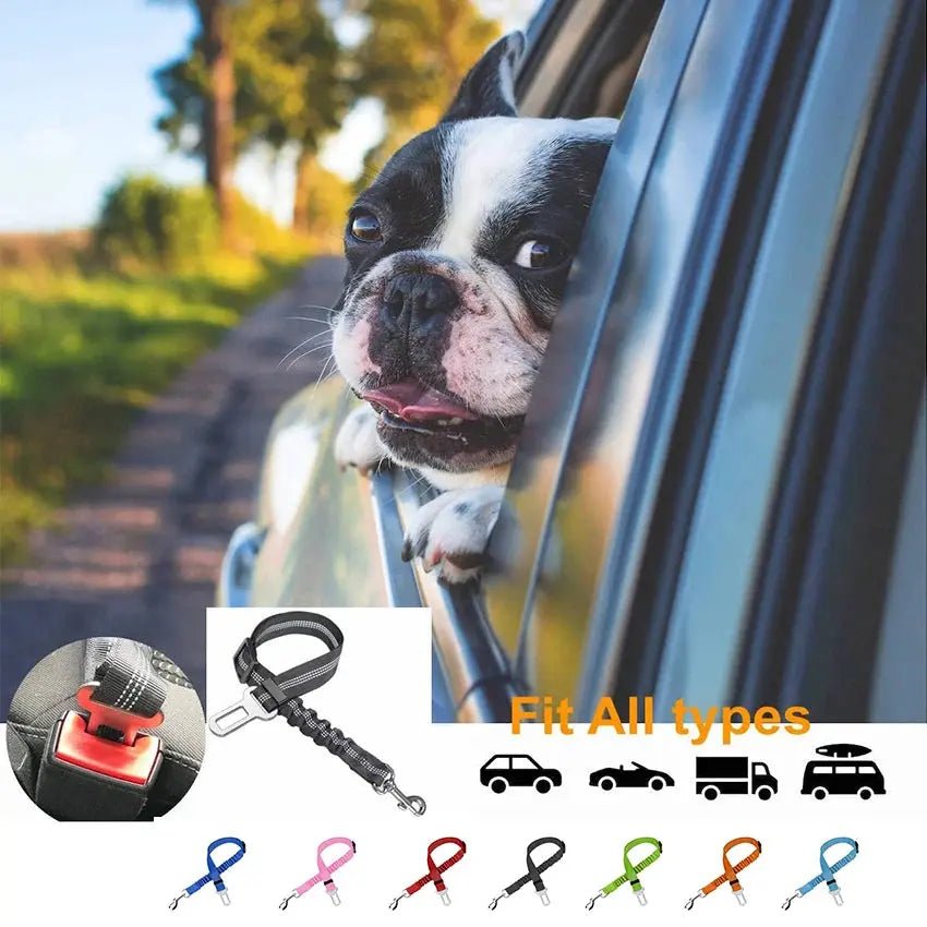 Laisse de Voiture pour Chien - Attache de Voyage Réglable - ManiacPets