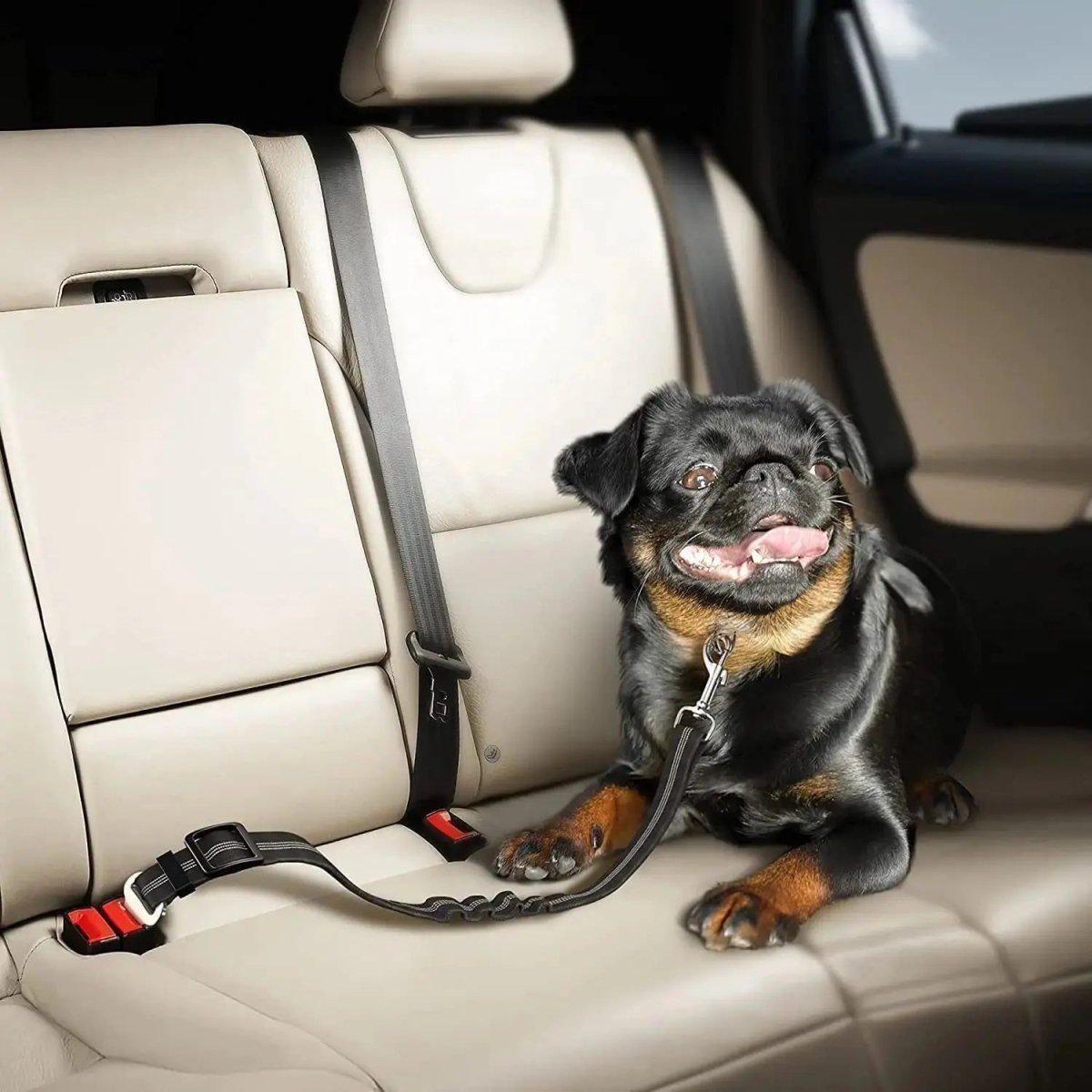 Laisse de Voiture pour Chien - Attache de Voyage Réglable - ManiacPets