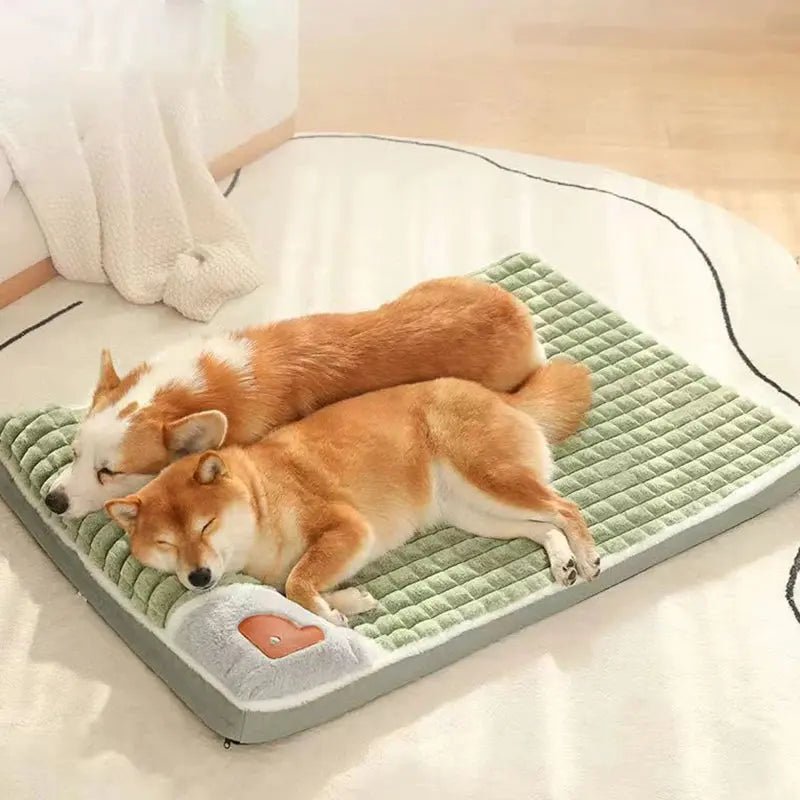 Panier Douillet pour Chien et Chat - ManiacPets