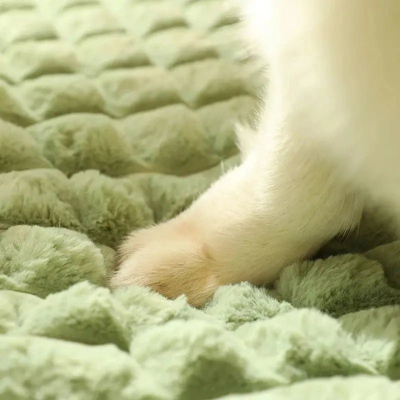 Panier Douillet pour Chien et Chat - ManiacPets