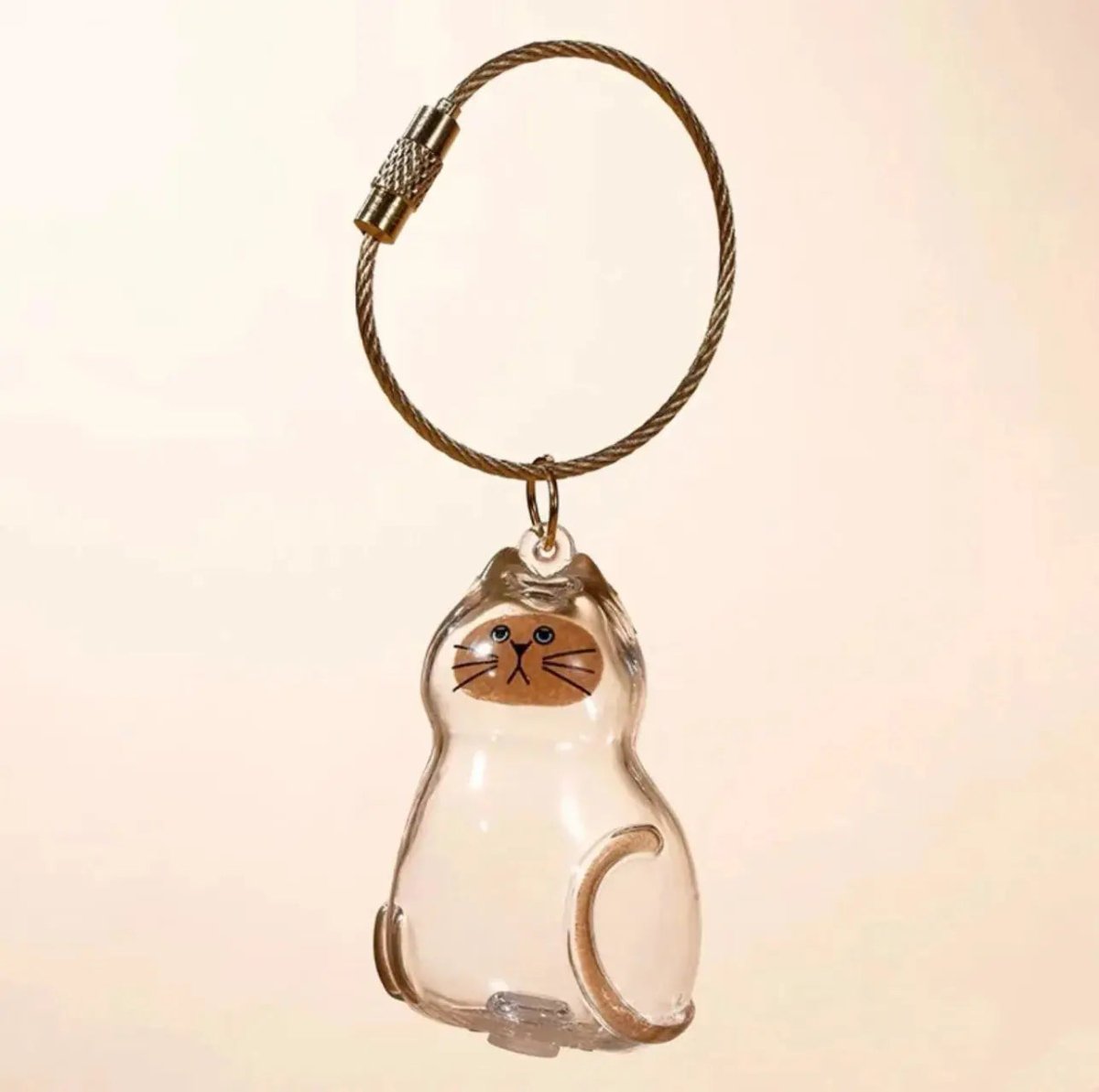 Porte - clés souvenir – Capsule en résine pour garder un lien avec votre animal - ManiacPets