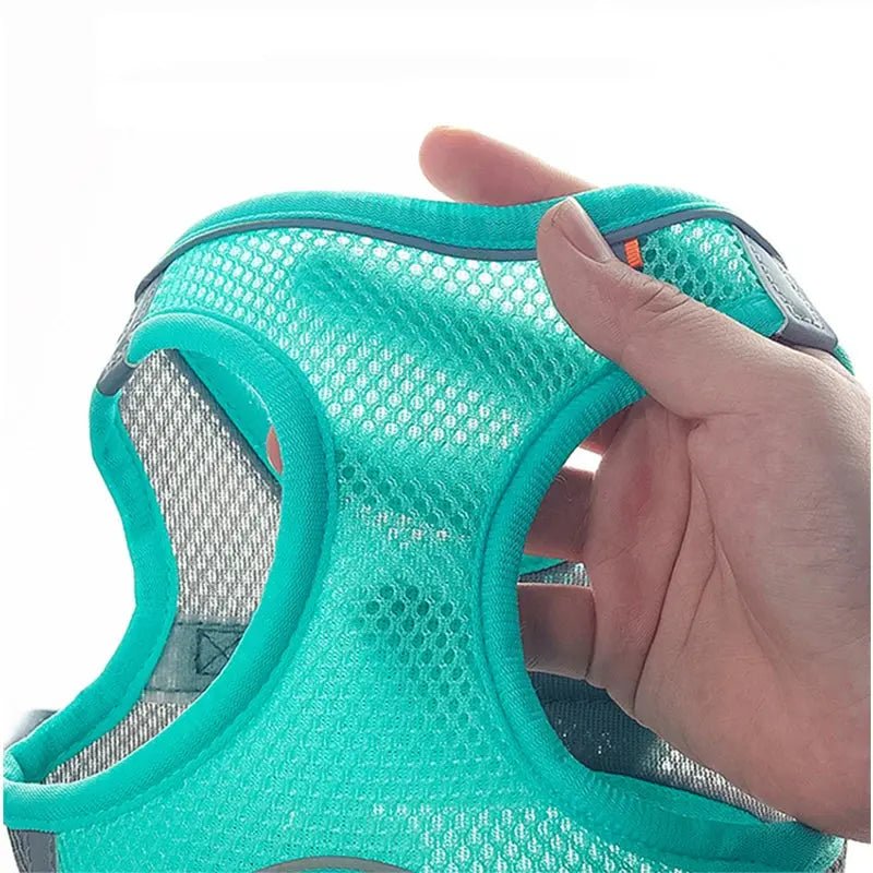 Harnais réfléchissant MADDEN–Ensemble harnais + laisse réglable pour chien ou chat - ManiacPets