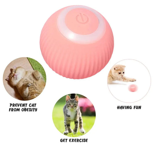 Balle Intelligente Rechargeable pour Chat - ManiacPets