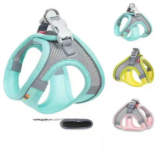 Harnais réfléchissant MADDEN–Ensemble harnais + laisse réglable pour chien ou chat - ManiacPets