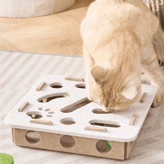 Jeu labyrinthe en feutre pour chat - ManiacPets