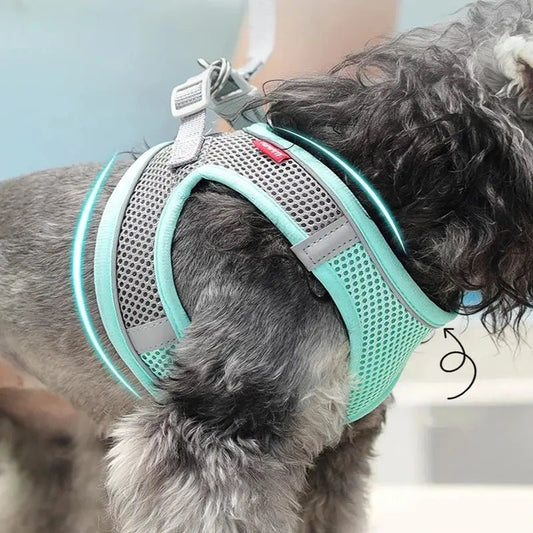 Harnais réfléchissant MADDEN–Ensemble harnais + laisse réglable pour chien ou chat - ManiacPets